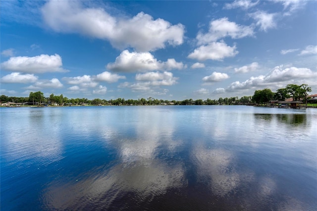 15012 Maurine Cove Ln, Odessa, FL 33556 - water view