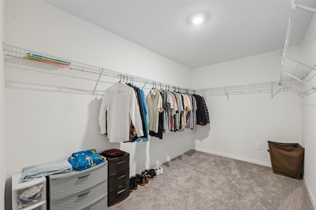 34797 Rainville Loop, Zephyrhills, FL 33541 - walk in closet featuring carpet