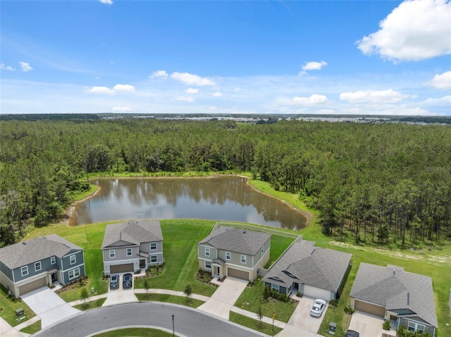 34797 Rainville Loop, Zephyrhills, FL 33541 - aerial view of a forest and a large body of water