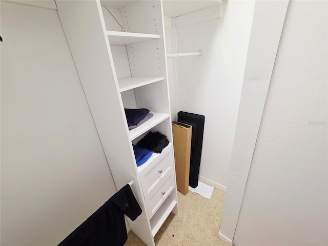 2975 E Withlacoochee Trl, Dunnellon, FL 34434 - view of spacious closet