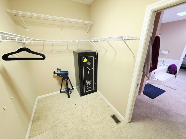 2975 E Withlacoochee Trl, Dunnellon, FL 34434 - spacious closet featuring carpet