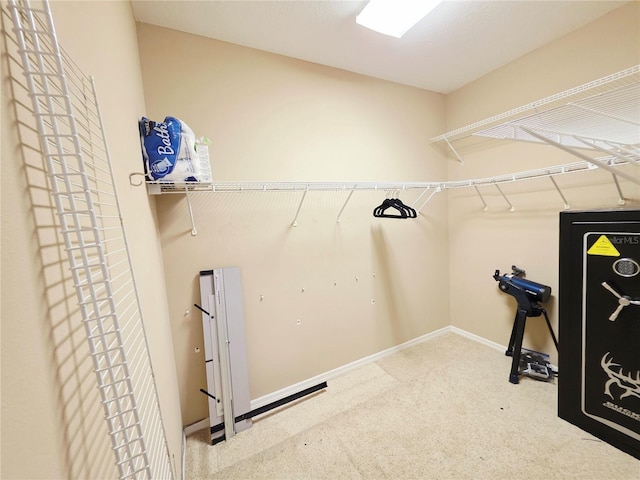 2975 E Withlacoochee Trl, Dunnellon, FL 34434 - spacious closet with carpet floors