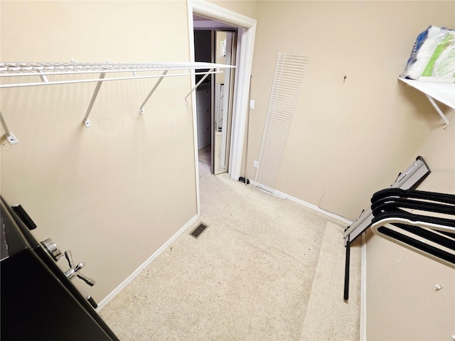 2975 E Withlacoochee Trl, Dunnellon, FL 34434 - spacious closet with light carpet