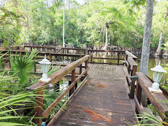 2975 E Withlacoochee Trl, Dunnellon, FL 34434 - view of dock