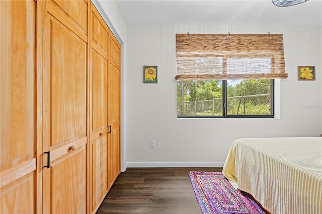 7013 W Polaris Ct, Homosassa, FL 34446 - bedroom with dark wood-style floors and a closet