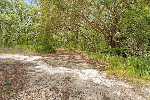 7013 W Polaris Ct, Homosassa, FL 34446 - view of road with a forest view