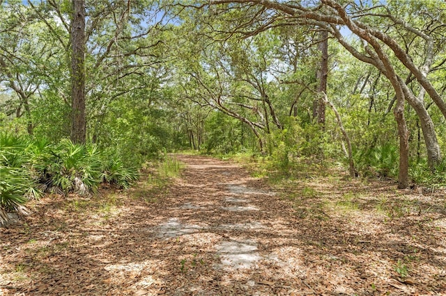 7013 W Polaris Ct, Homosassa, FL 34446 - view of wooded area