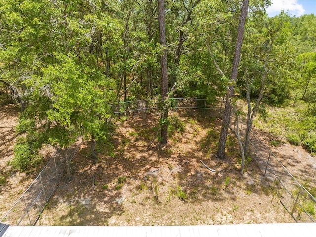 7013 W Polaris Ct, Homosassa, FL 34446 - view of tree filled area