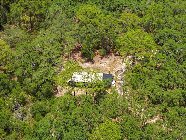 7013 W Polaris Ct, Homosassa, FL 34446 - view of subject property featuring a heavily wooded area