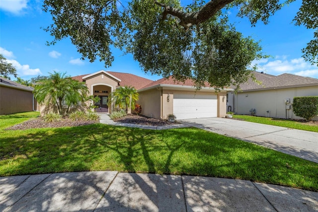 19104 Cellini Pl, Lutz, FL 33558 - view of front of home featuring concrete driveway, stucco siding, a front lawn, a garage, and french doors