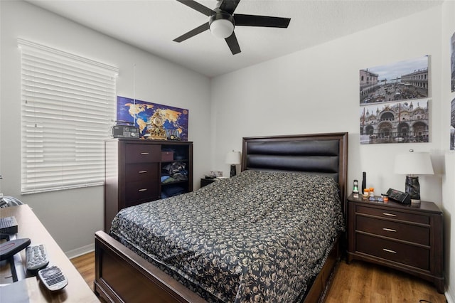 19104 Cellini Pl, Lutz, FL 33558 - bedroom with wood finished floors and a ceiling fan