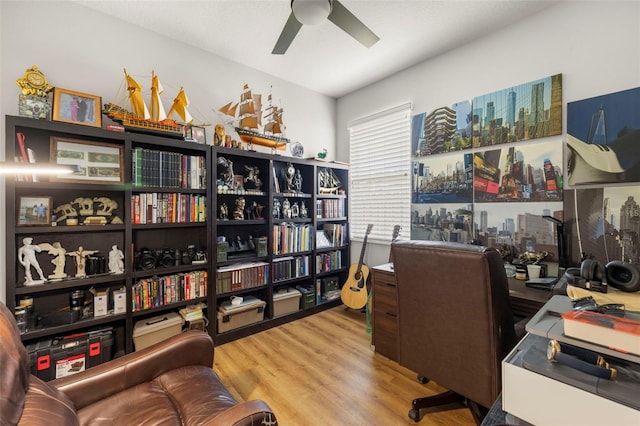 19104 Cellini Pl, Lutz, FL 33558 - office with a ceiling fan and wood finished floors