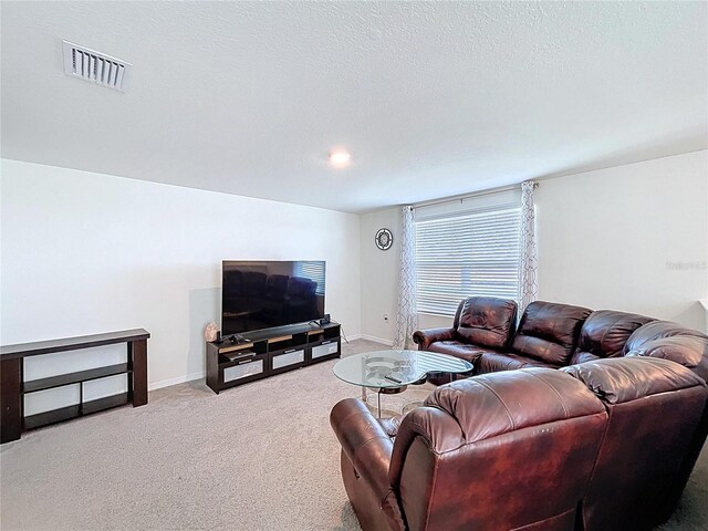 5470 Flint Hills Dr, Wimauma, FL 33598 - photo 48