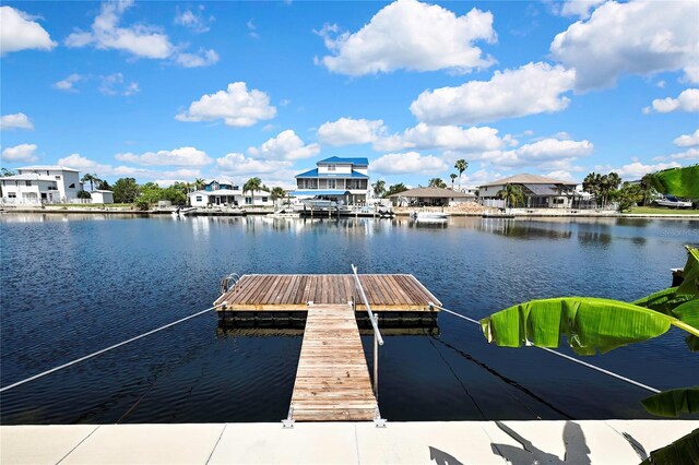 4123 Daisy Dr, Hernando Beach, FL 34607 - photo 46