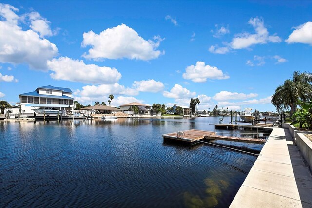 4123 Daisy Dr, Hernando Beach, FL 34607 - photo 47