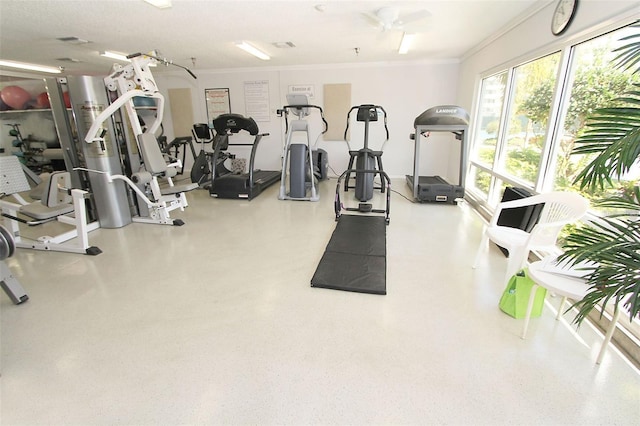 7932 Sailboat Key Blvd S Unit 406, South Pasadena, FL 33707 - gym featuring ornamental molding