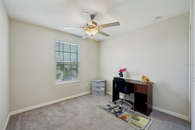 14460 English Lavender Dr, Wimauma, FL 33598 - photo 36
