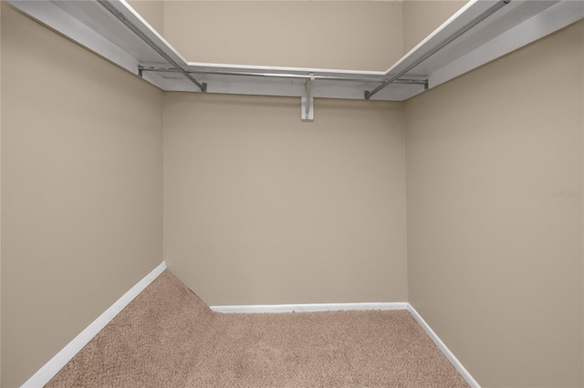 1881 Lichen Ln Unit B, Clearwater, FL 33760 - spacious closet featuring carpet flooring