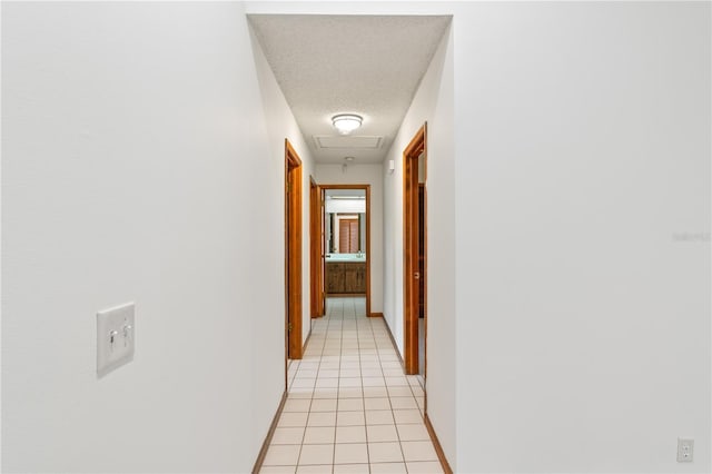 12506 Twisted Oak Dr, Tampa, FL 33624 - photo 29