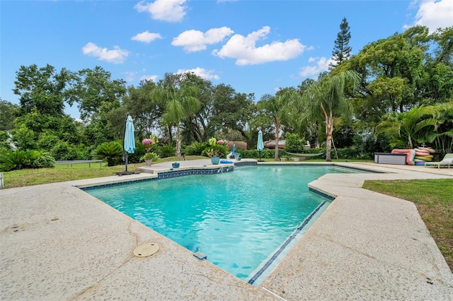 2306 S Valrico Rd, Valrico, FL 33596 - swimming pool with a patio and view of scattered trees