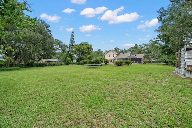 2306 S Valrico Rd, Valrico, FL 33596 - view of grassy yard featuring a trampoline