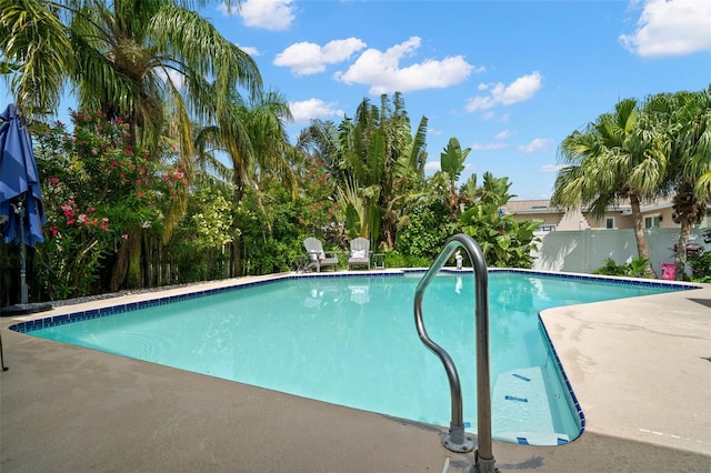 338 7th Ave N, Tierra Verde, FL 33715 - view of pool featuring a patio area