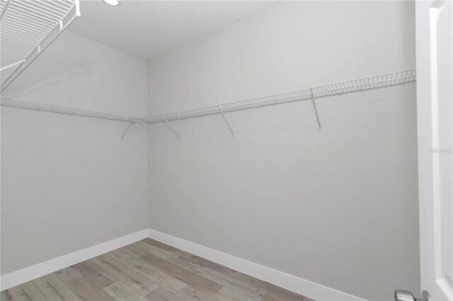 2705 W Royal Palm Dr, Citrus Springs, FL 34434 - spacious closet featuring light wood finished floors