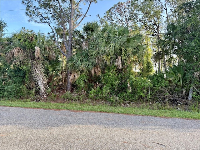 0972128912 Gilpin Ln, North Port, FL 34291