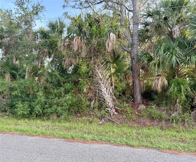 0972128912 Gilpin Ln, North Port, FL 34291