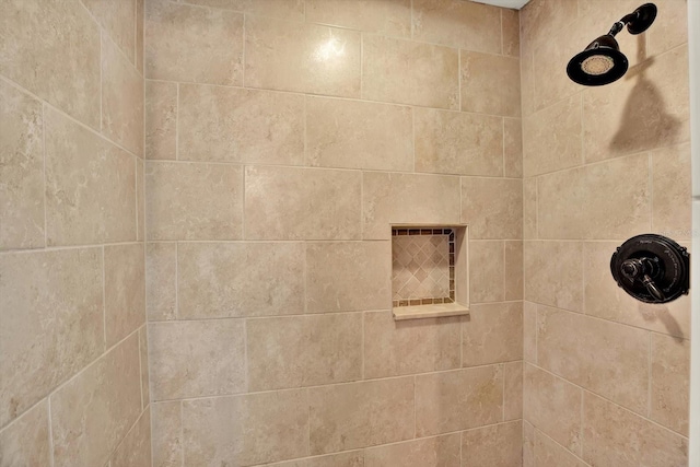 258 14th Ave NE, Saint Petersburg, FL 33701 - bathroom view of a tile shower