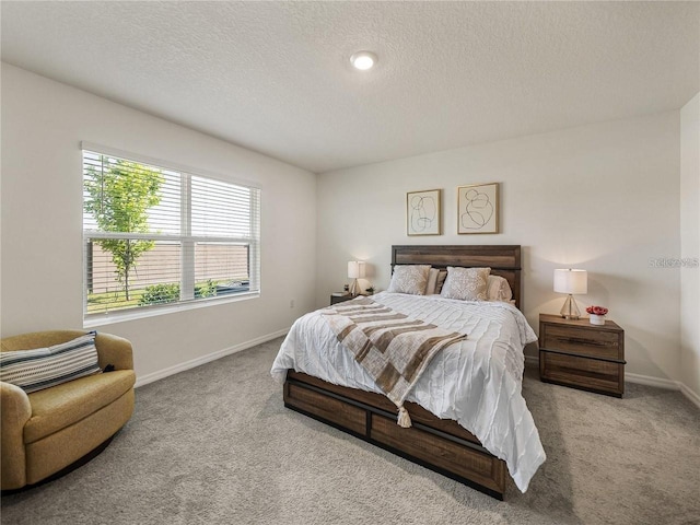8210 Juning Cv, Wesley Chapel, FL 33545 - bedroom featuring carpet floors and a textured ceiling