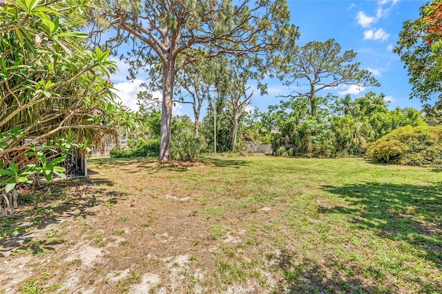 358 Suwanee Ave, Sarasota, FL 34243 - view of grassy yard