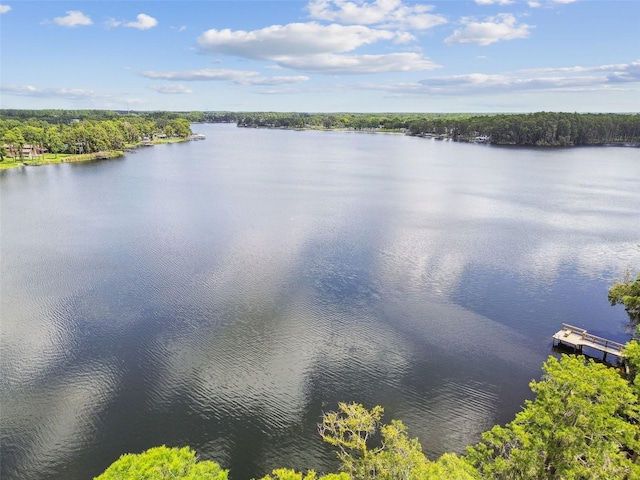 2566 Lake Manor Dr, Land O Lakes, FL 34639 - photo 98