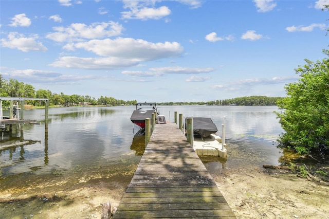 2566 Lake Manor Dr, Land O Lakes, FL 34639 - photo 92