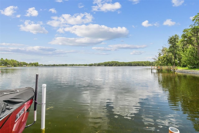 2566 Lake Manor Dr, Land O Lakes, FL 34639 - photo 94