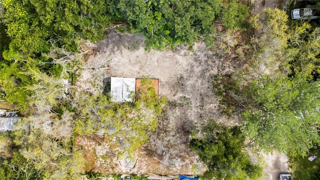 11118 Stanley St, New Port Richey, FL 34654