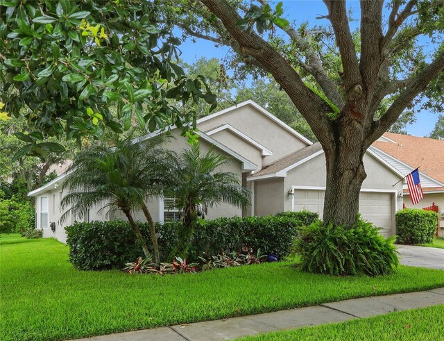 3101 Beaver Pond Trl, Valrico, FL 33596 - photo 3
