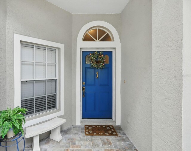 3101 Beaver Pond Trl, Valrico, FL 33596 - photo 4