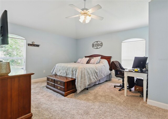 3101 Beaver Pond Trl, Valrico, FL 33596 - photo 24