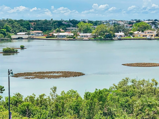 100 Bluff View Dr Unit 511C, Belleair Bluffs, FL 33770 - water view