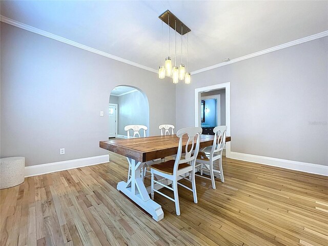 1019 E Mohawk Ave, Tampa, FL 33604 - photo 11