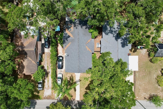 1019 E Mohawk Ave, Tampa, FL 33604 - photo 47