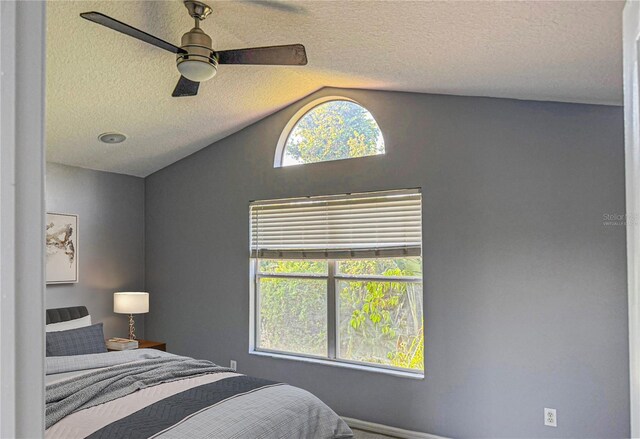 7705 Nottinghill Sky Dr, Apollo Beach, FL 33572 - photo 10