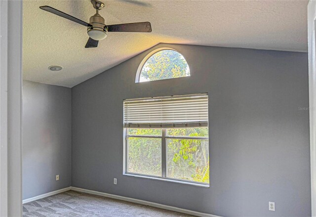 7705 Nottinghill Sky Dr, Apollo Beach, FL 33572 - photo 11