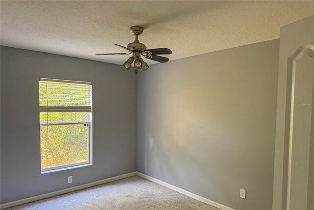 7705 Nottinghill Sky Dr, Apollo Beach, FL 33572 - photo 15