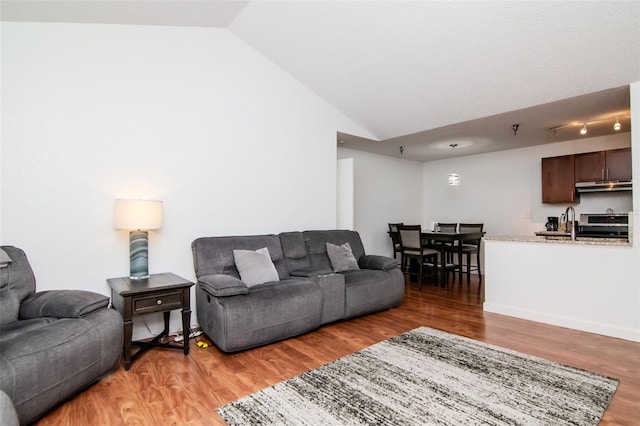 10265 Gandy Blvd N Unit 1702, Saint Petersburg, FL 33702 - living room with lofted ceiling and light wood-style floors