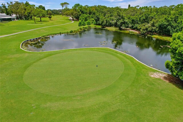 1401 Camelot Ct, Palm Harbor, FL 34684 - view of community with a water view, view of golf course, and view of scattered trees