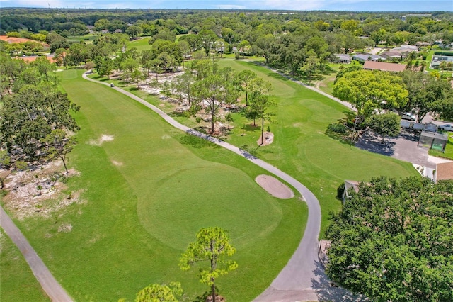 1401 Camelot Ct, Palm Harbor, FL 34684 - bird's eye view of a local golf course and a tree filled landscape