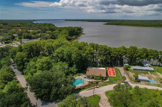 1401 Camelot Ct, Palm Harbor, FL 34684 - aerial view of property's location featuring a nearby body of water, a pool area, and a forest