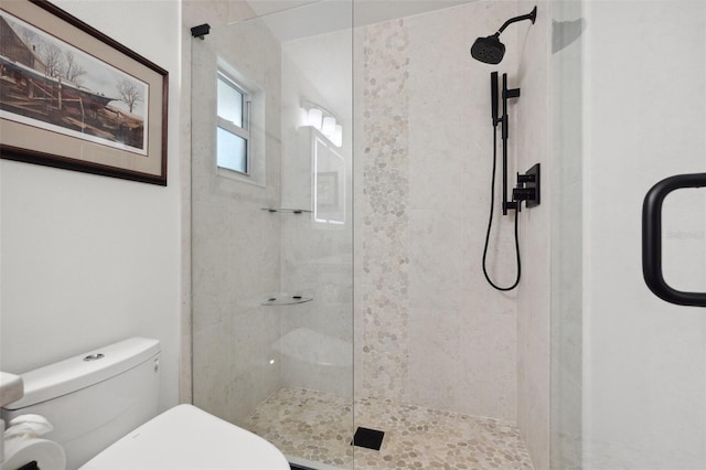 1424 47th Ave NE, Saint Petersburg, FL 33703 - photo 21